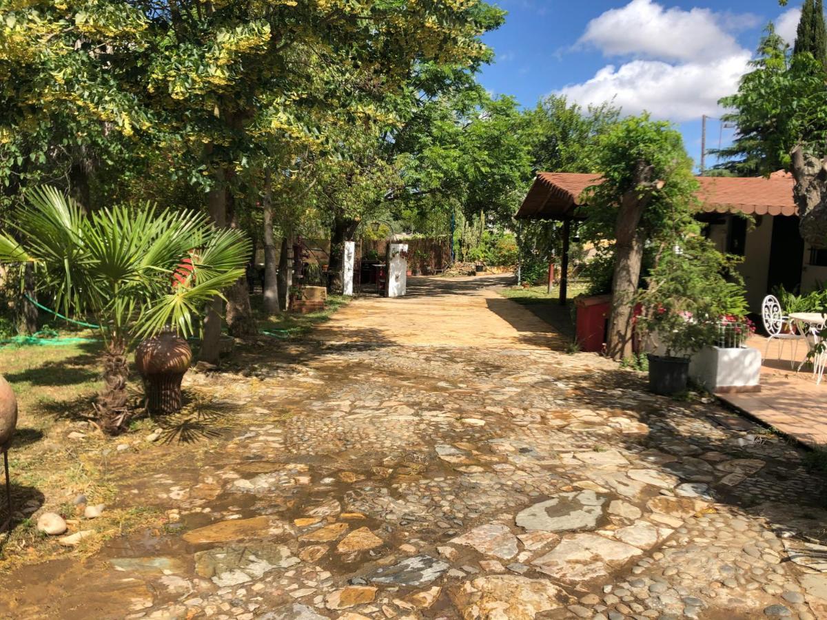 Guadalcanal Vivienda Turistica La Huertaヴィラ エクステリア 写真