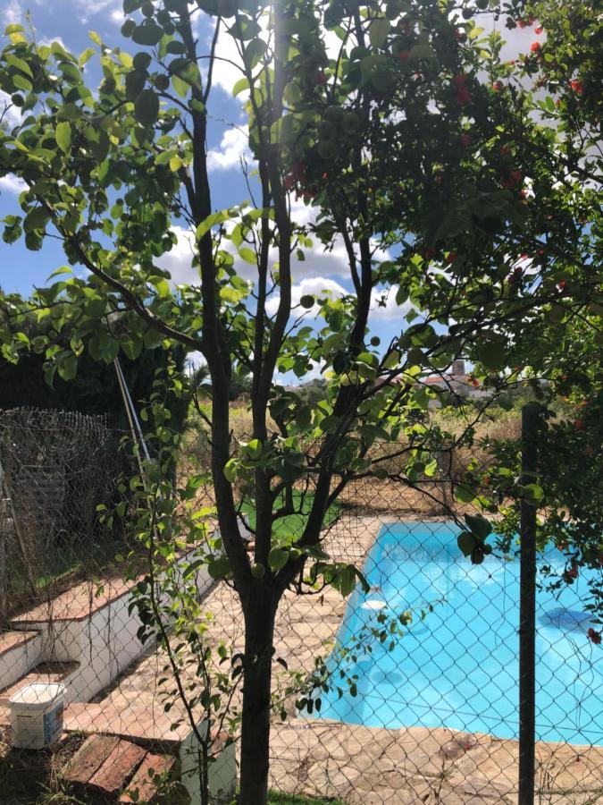 Guadalcanal Vivienda Turistica La Huertaヴィラ エクステリア 写真